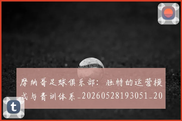 摩纳哥足球俱乐部：独特的运营模式与青训体系_20260528193051_20260707144425